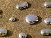 mercurio: mezcla peligrosa