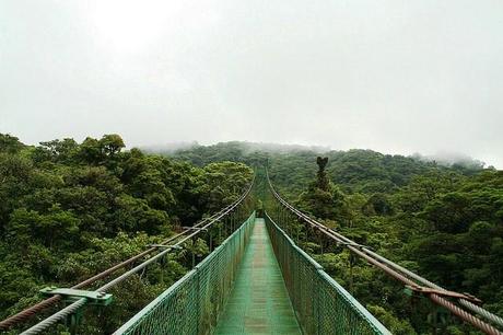 Puente colgante en Monteverde (Costa Rica) 50 puentes del mundo