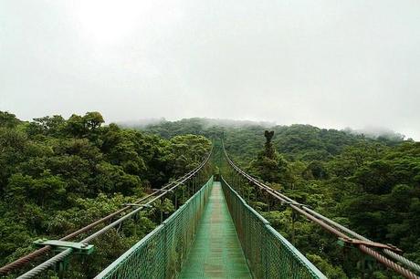 50 puentes del mundo