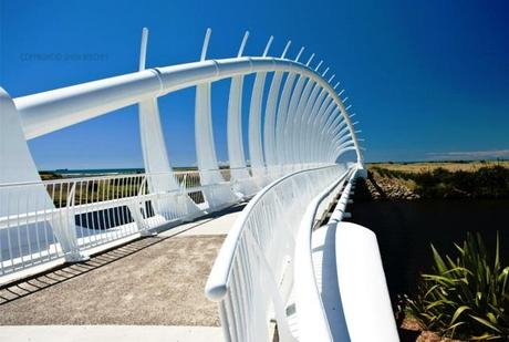 Puente Te Rewa Rewa, New Plymouth (Nueva Zelanda) 50 puentes del mundo