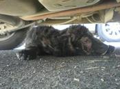 AGUAS VIDA, mamá hija. VIDA está grave S.O.S para ellas!!