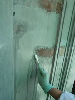 MUro-MUesTRA; PRUebas PREvIAS