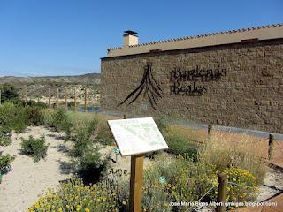 Paisajes singulares en las Bardenas Reales