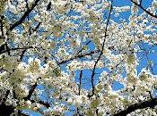 Cocina gastronomía siciliana: productos típicos Sicilia