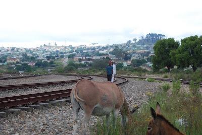 Especial Grahamstown segundo hogar: Una recorrida por la periferia y el Township...