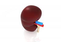 Remedios Caseros Para Los Riñones