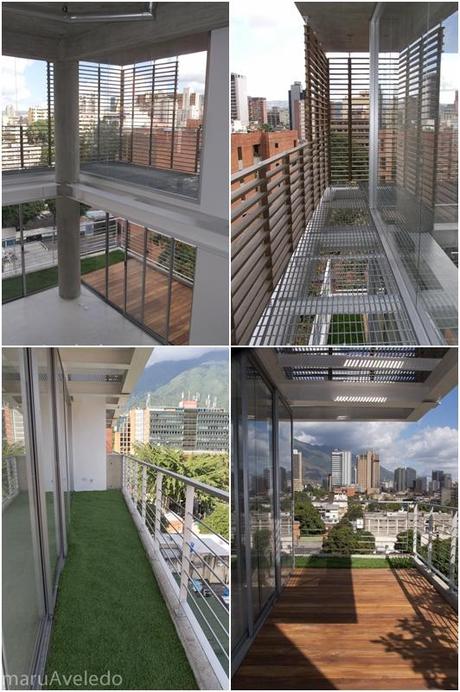 Pavlova y esperando nueva casa