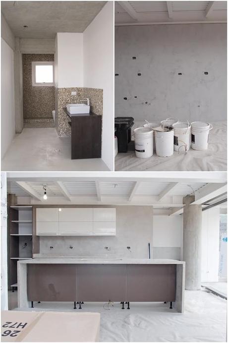 Pavlova y esperando nueva casa