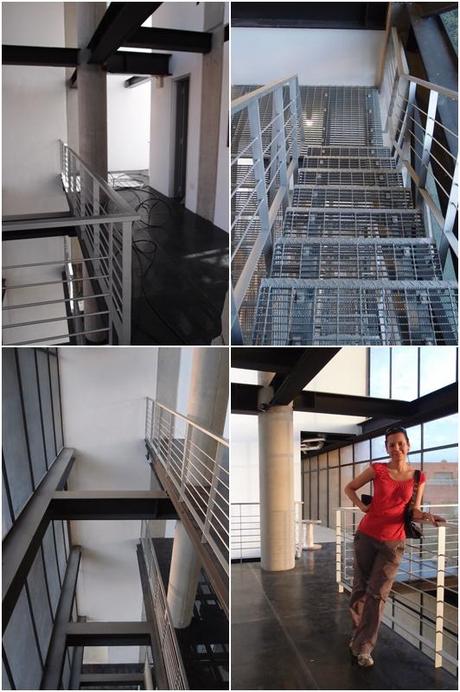 Pavlova y esperando nueva casa