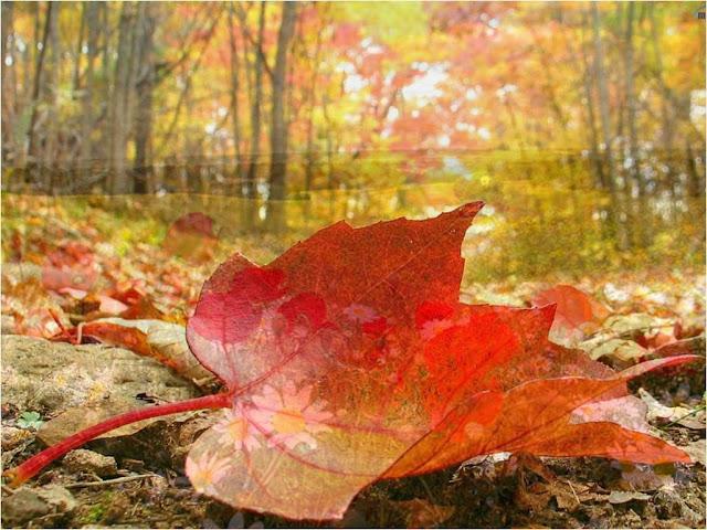 Primavera de Otoño