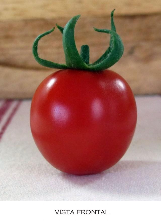 Ñam-Ñam o La cata del tomate…