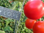 Ñam-Ñam cata tomate…