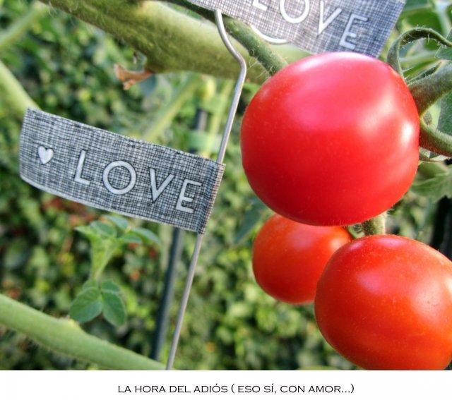 Ñam-Ñam o La cata del tomate…