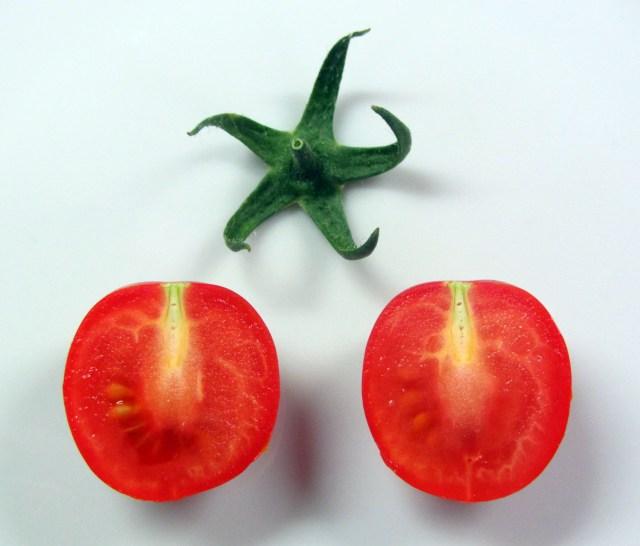 Ñam-Ñam o La cata del tomate…