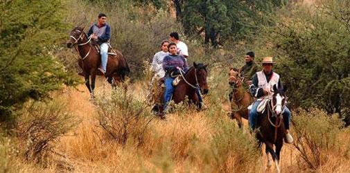 Camino Real: turismo rural y gastronomía cordobesa