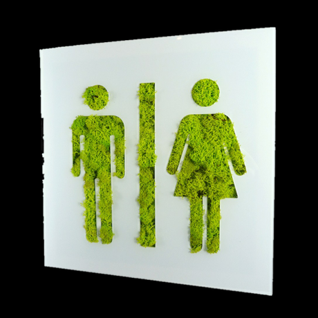 Paisaje interior Paisaje interior