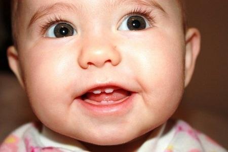 morder guarderia EL ABSURDO LLEGA A LAS GUARDERÍAS.