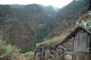 Una muestra de la riqueza natural de la isla de La Palma. El Tablado (Garafía)
