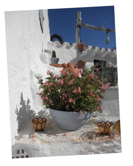 Un paseo por el jardin II