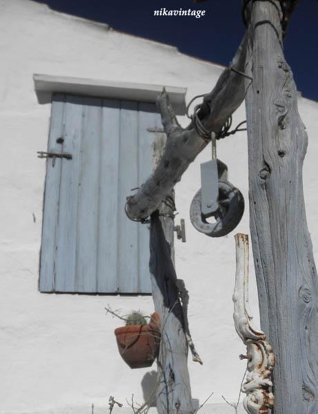 Un paseo por el jardin II