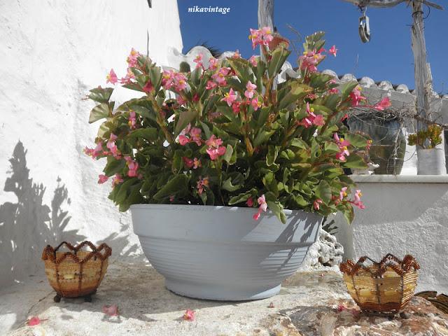 Un paseo por el jardin II