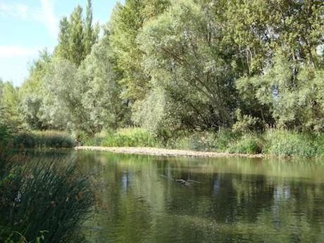 cuando-todo-cambiocc81-2 cuando-todo-cambiocc81-2