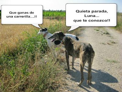 Tertulia entre ellos....