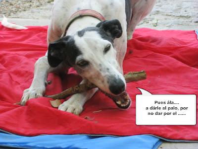 Tertulia entre ellos....