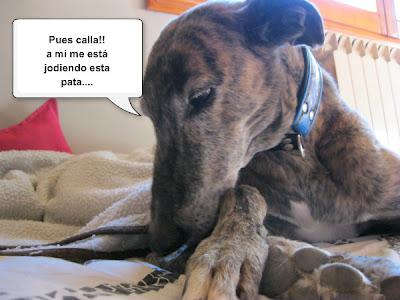 Tertulia entre ellos....