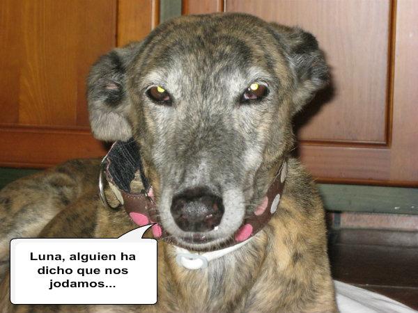 Tertulia entre ellos....