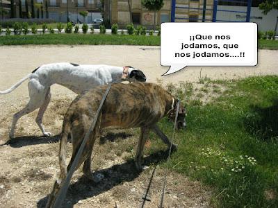 Tertulia entre ellos....