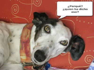 Tertulia entre ellos....