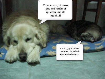 Tertulia entre ellos....