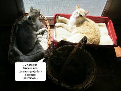 Tertulia entre ellos....