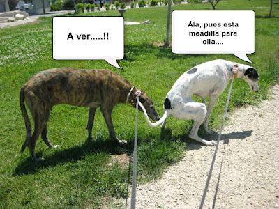 Tertulia entre ellos....