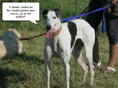 Tertulia entre ellos....