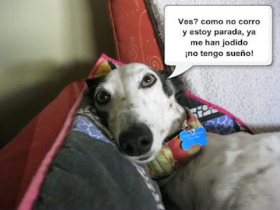 Tertulia entre ellos....