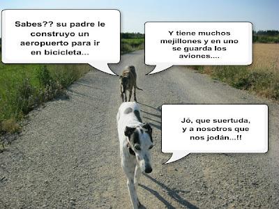 Tertulia entre ellos....