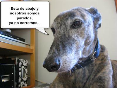 Tertulia entre ellos....