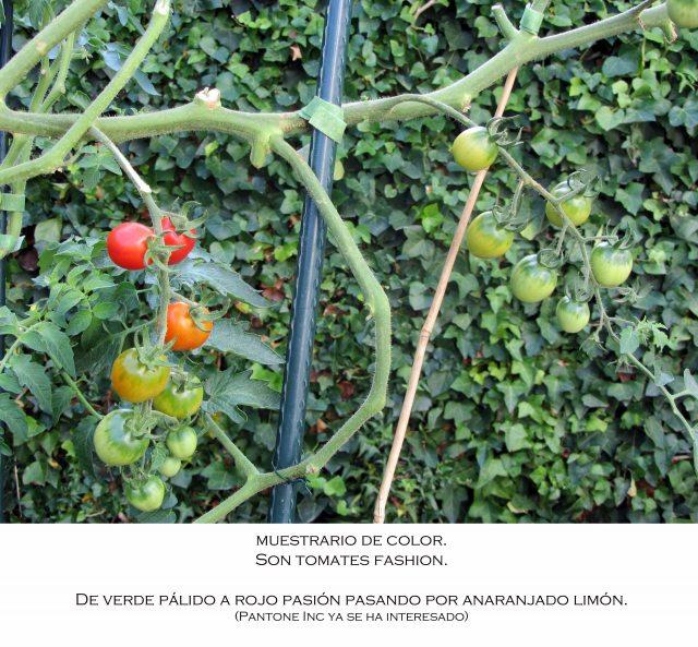 All you need is love.