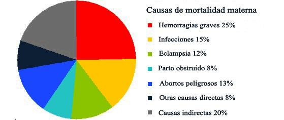 Cada dos minutos muere una embarazada, cada hora mueren 30 embarazadas