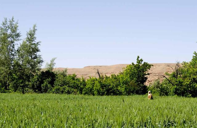 Marruecos. Segunda etapa: Ait Ben Haddou, Ouarzazate y el Valle del Dades.