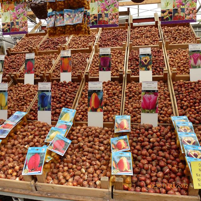 Mercado de las flores de Amsterdam