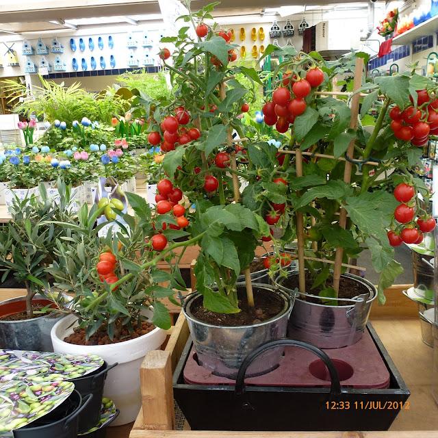 Mercado de las flores de Amsterdam