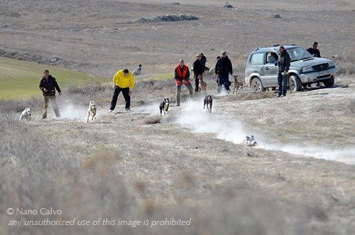 Hay amores que matan