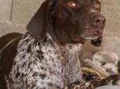 Lola, autentica preciosidad