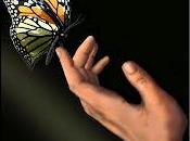 Mariposas estómago