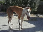 Socorro, peligro muerte inmediato!!!