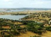 Reedición: aprendamos meditar