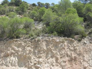 Poema de la Fé en el Espiritu  (1ra parte)